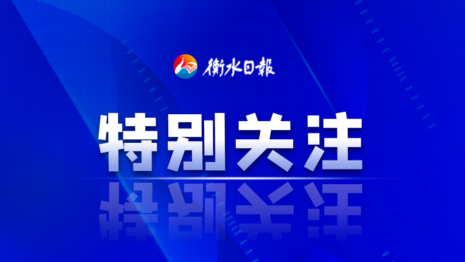 衡水桃城区2026年四项保险待遇领取资格认证工作已启动